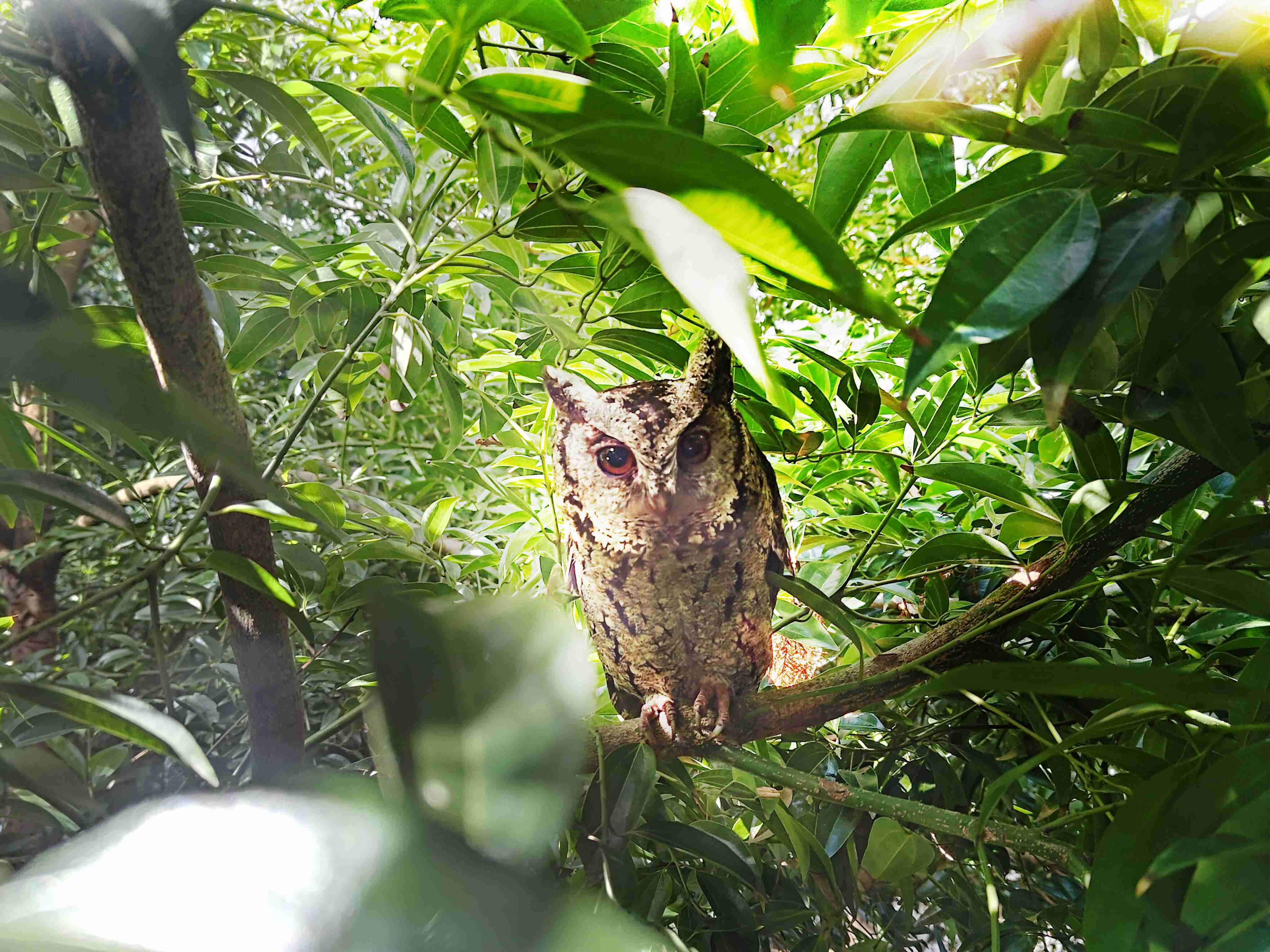2121非凡致力提倡净零绿生活，，16年以来在全球各厂区植树逾百万棵，，，，造就各厂区树木蔚然成林，，，，犹如森林工厂，，，成为许多生物的栖息地